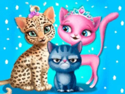 Kedi Tıraş Salonu