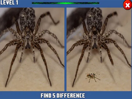 Spider Gizli Fark