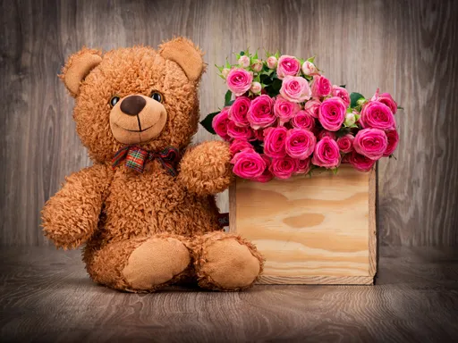 Sevimli Teddy Ayılar Bulmacası
