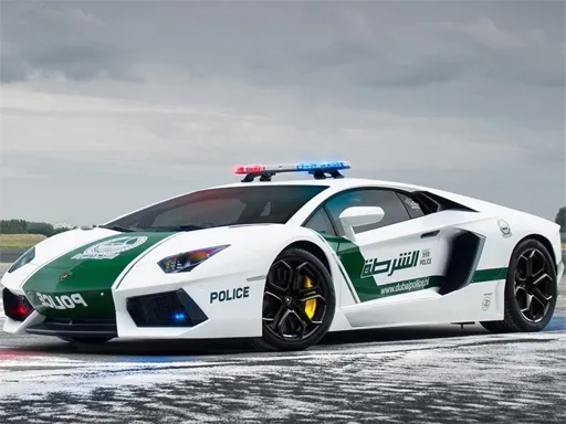 Polis Arabaları Yapboz