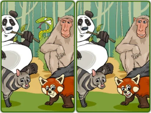 Vahşi Yaşam Safari Beş Fark
