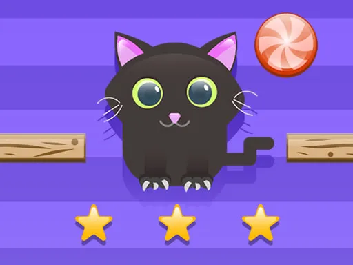 Kedi İçin Kesme Zorluğu