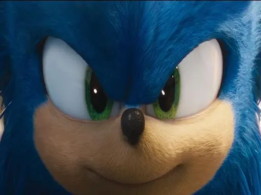 Sonic Fox Macerası