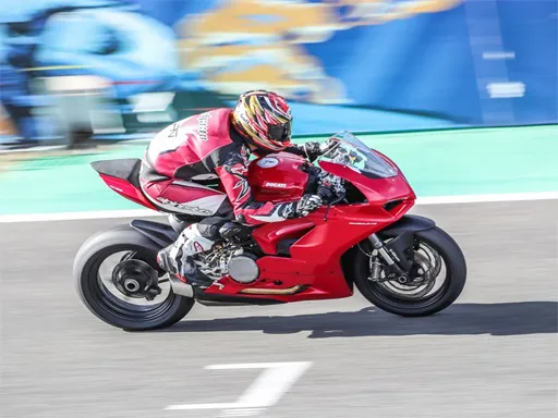 Ducati Panigale Bulmacası