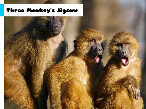 Üç Maymunun Jigsaw'ı