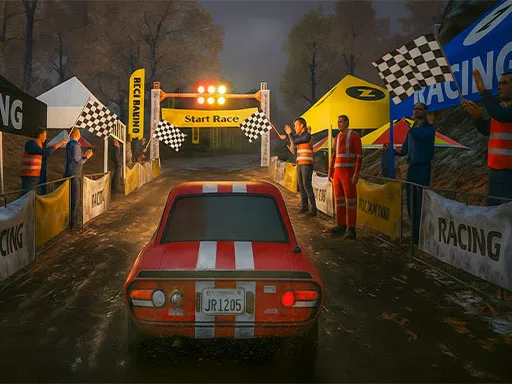 Rally Race Pro 3.0 Arac Yarışı