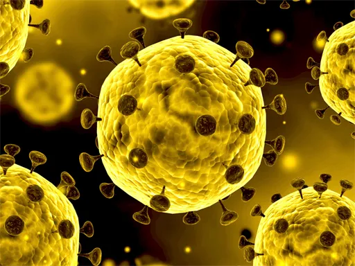 Coronavirus Kaydırma