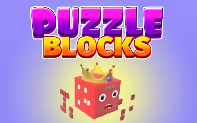 Puzzle Blocks