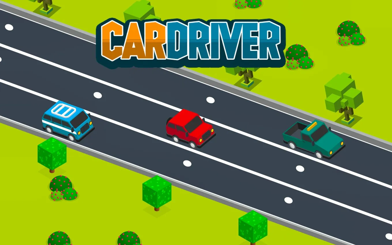Car Driver