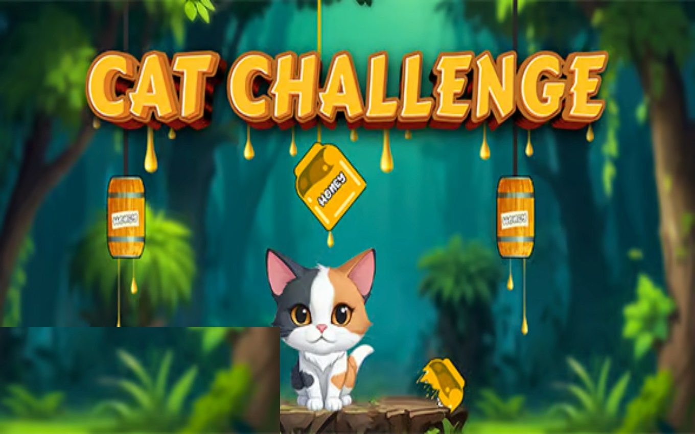 Kedi Zorlukları