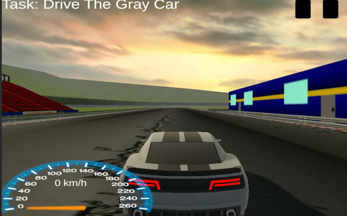 Drive Gray Car