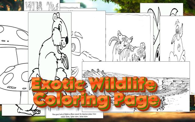 Exotic Wildlife Coloring Page