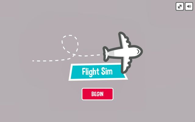 Flight Sim Pro