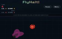 FlyHalt!
