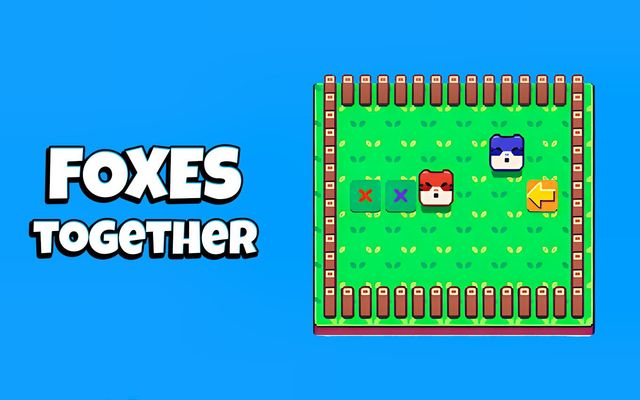 Foxes Together