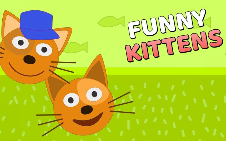 Funny Cats
