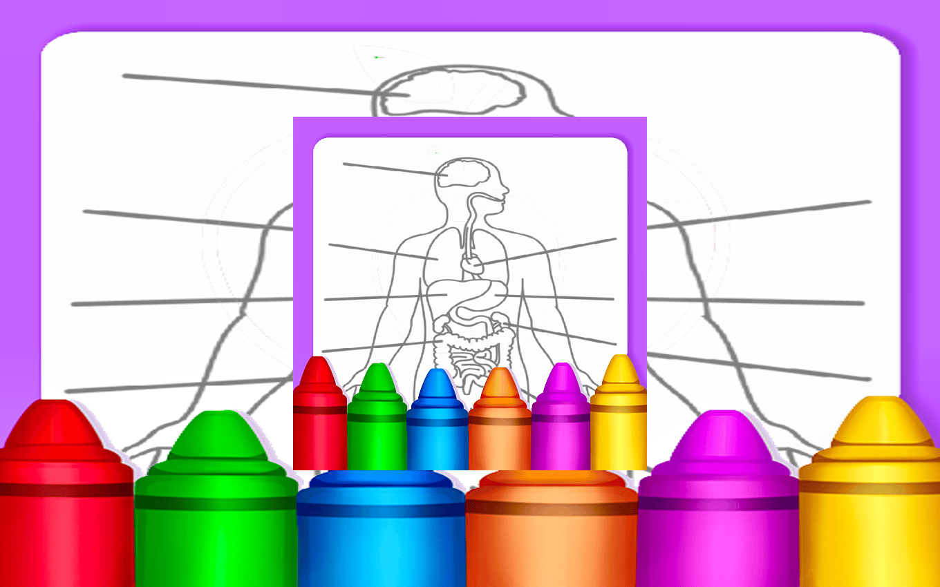 Hard Body Coloring For Kids