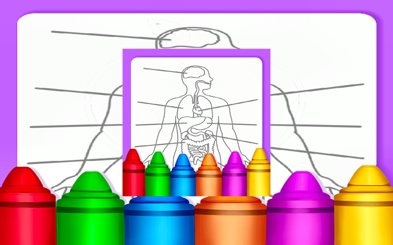 Hard Body Coloring For Kids
