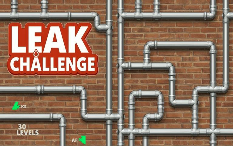 Leak Challenge