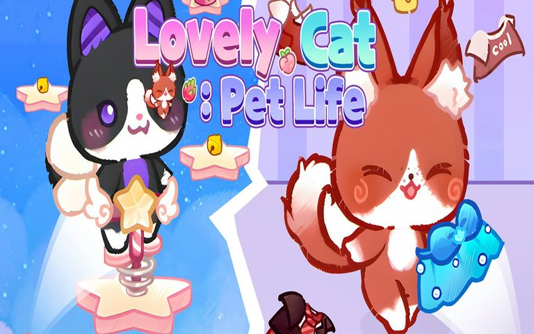 Lovely Cat Pet Life