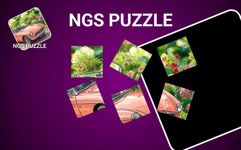 NGS Puzzle
