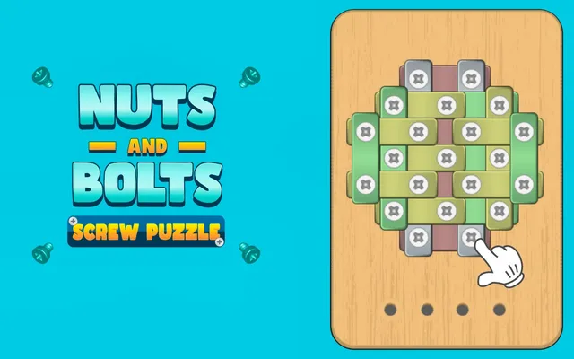 Nuts And Bolts Screw Puzzle