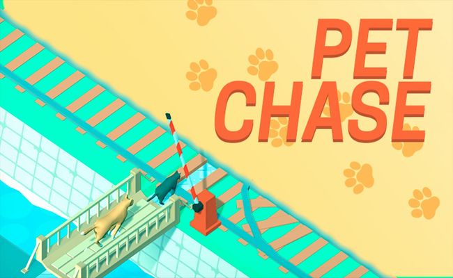 Pet Chase
