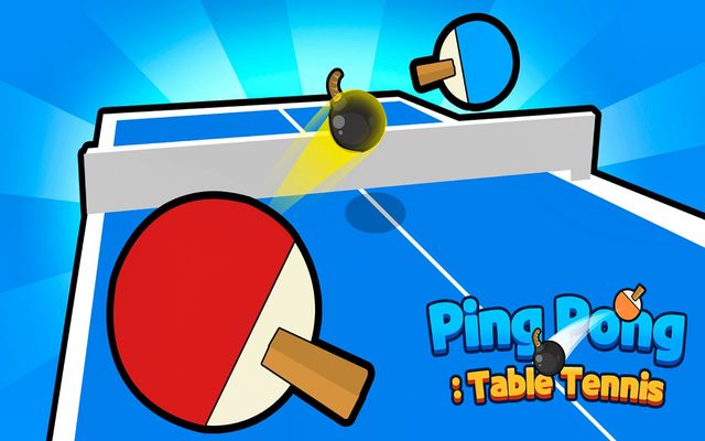 Ping Pong Table Tennis