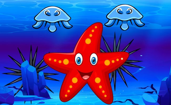 Survival Starfish