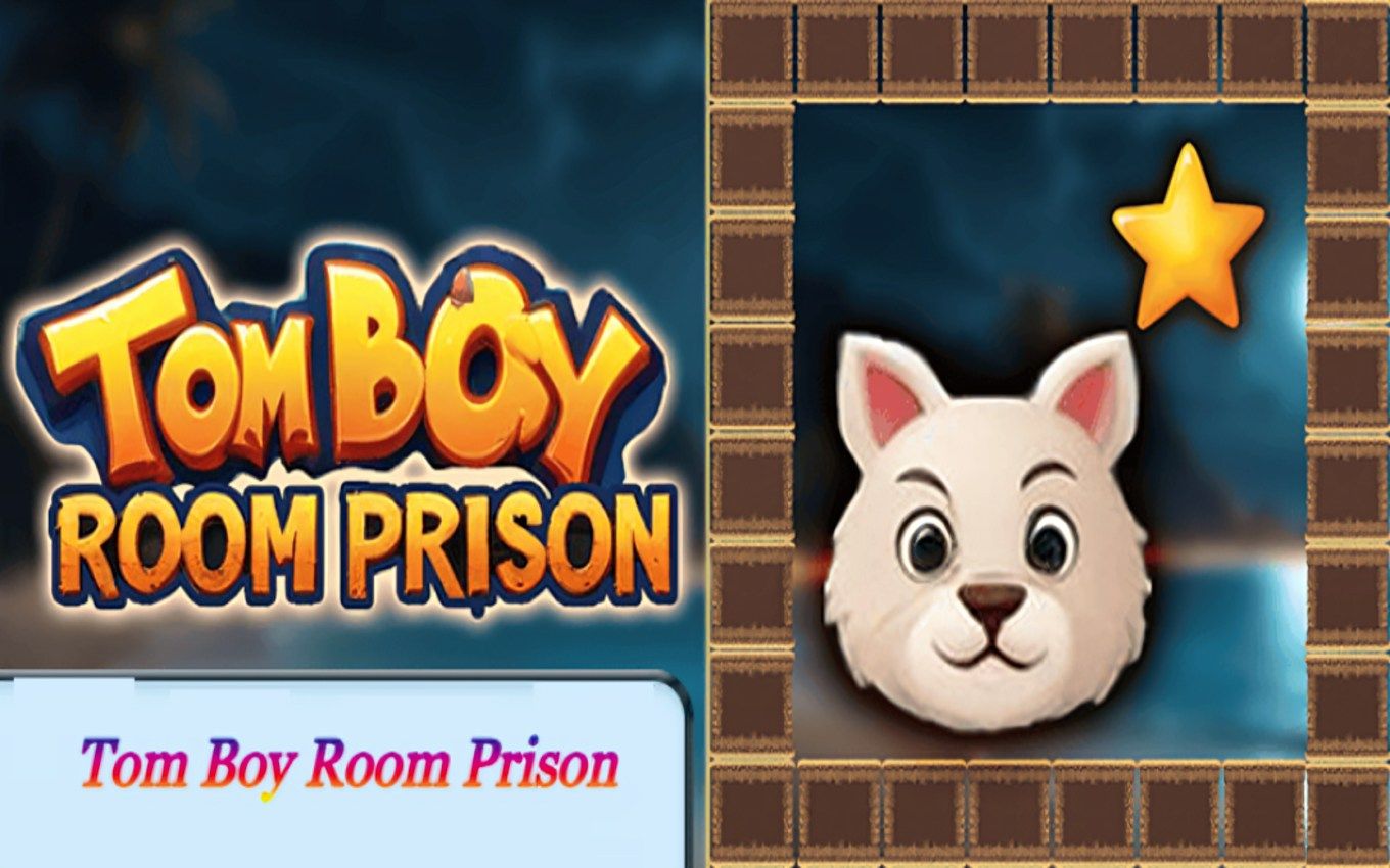 Tom Boy Room Prison