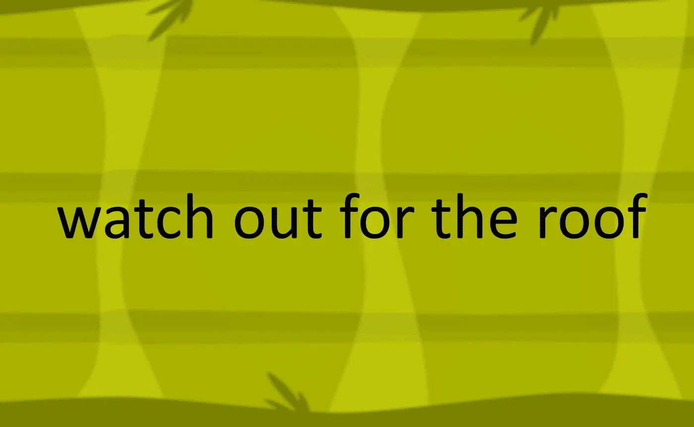 watch out for the roof