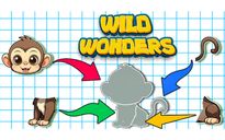 Wild Wonders