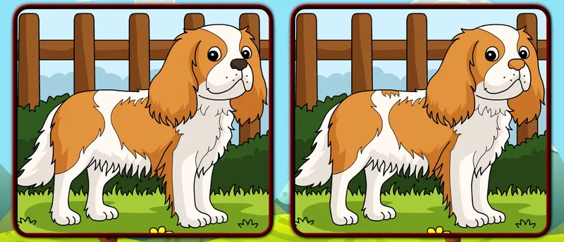 Dogs Spot The Differences