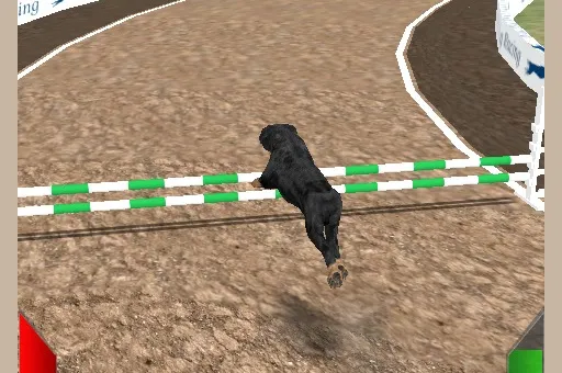 Dog Racing Simulator