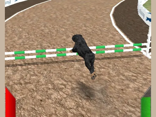 Dog Racing Simulator