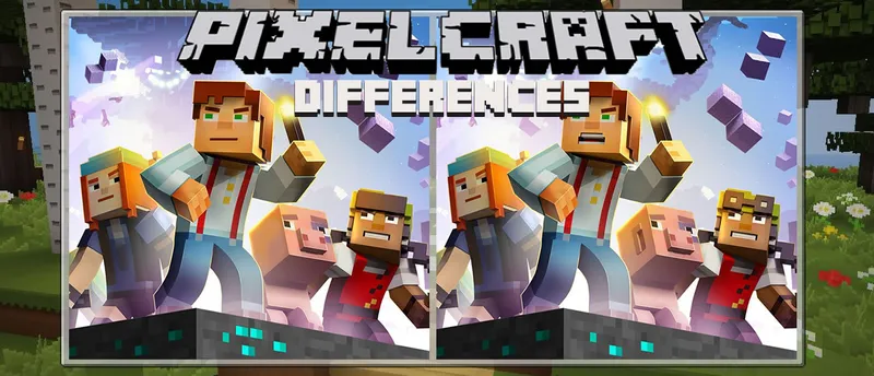 Pixelcraft Differences