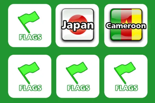 Memory with Flags