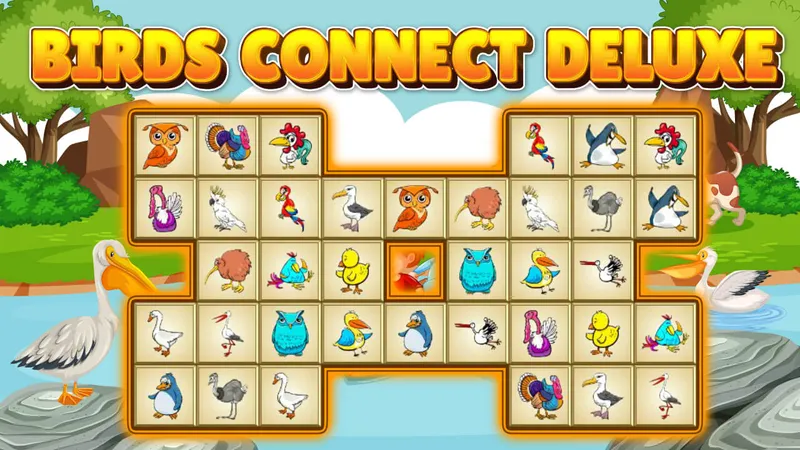 Birds Connect Deluxe