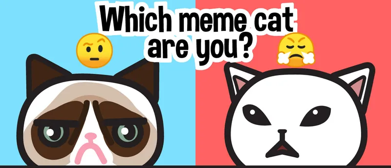 Which meme cat are you?