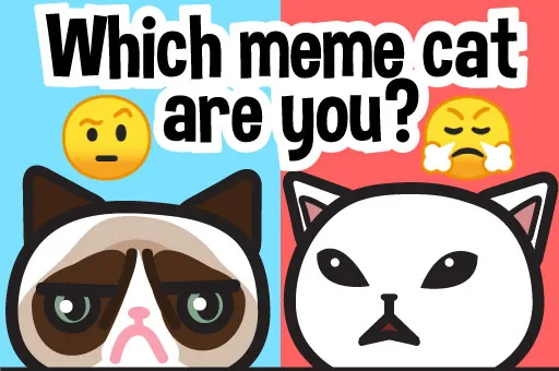 Which meme cat are you?