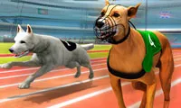 Real Dog Racing Simulator 3D