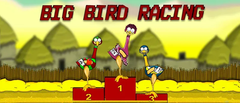 Big Bird Racing