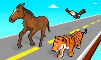 Animal Transform Race