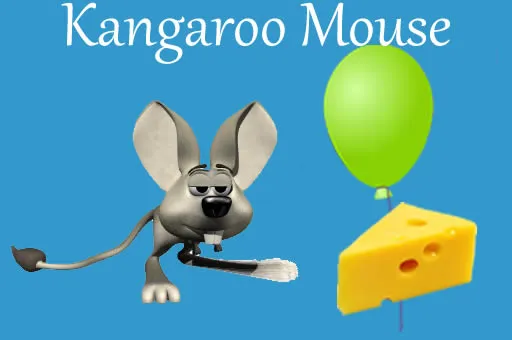 Kangaroo Mouse