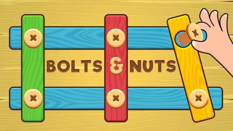 Bolts and Nuts - Puzzle