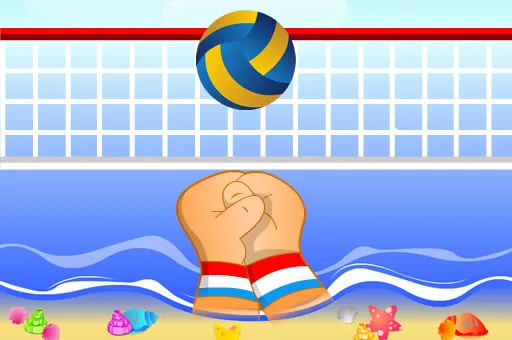 Volley ball