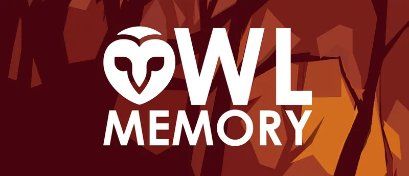 Owl Memory