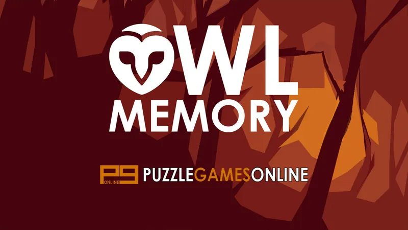 Owl Memory