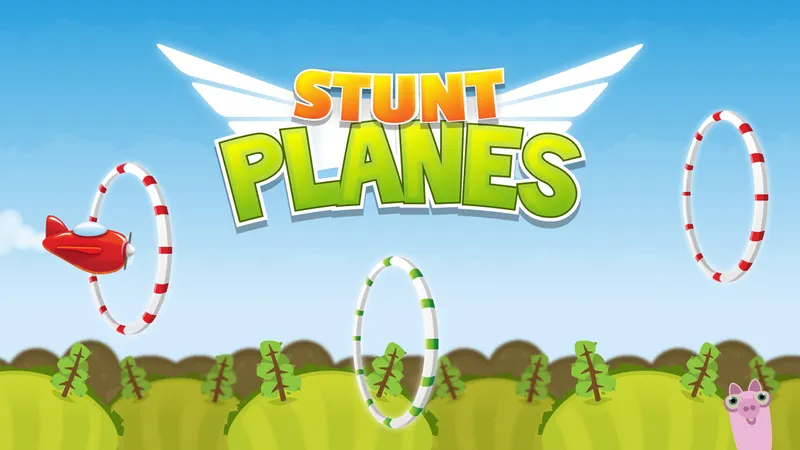 Stunt Planes