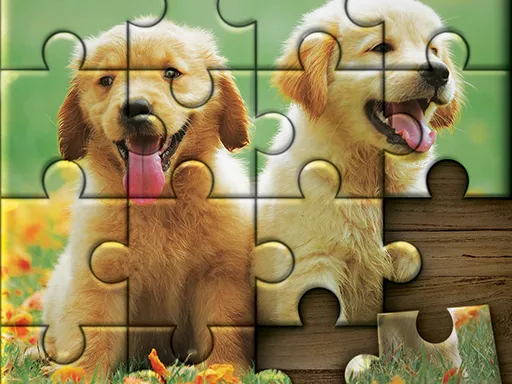 Jigsaw Puzzle